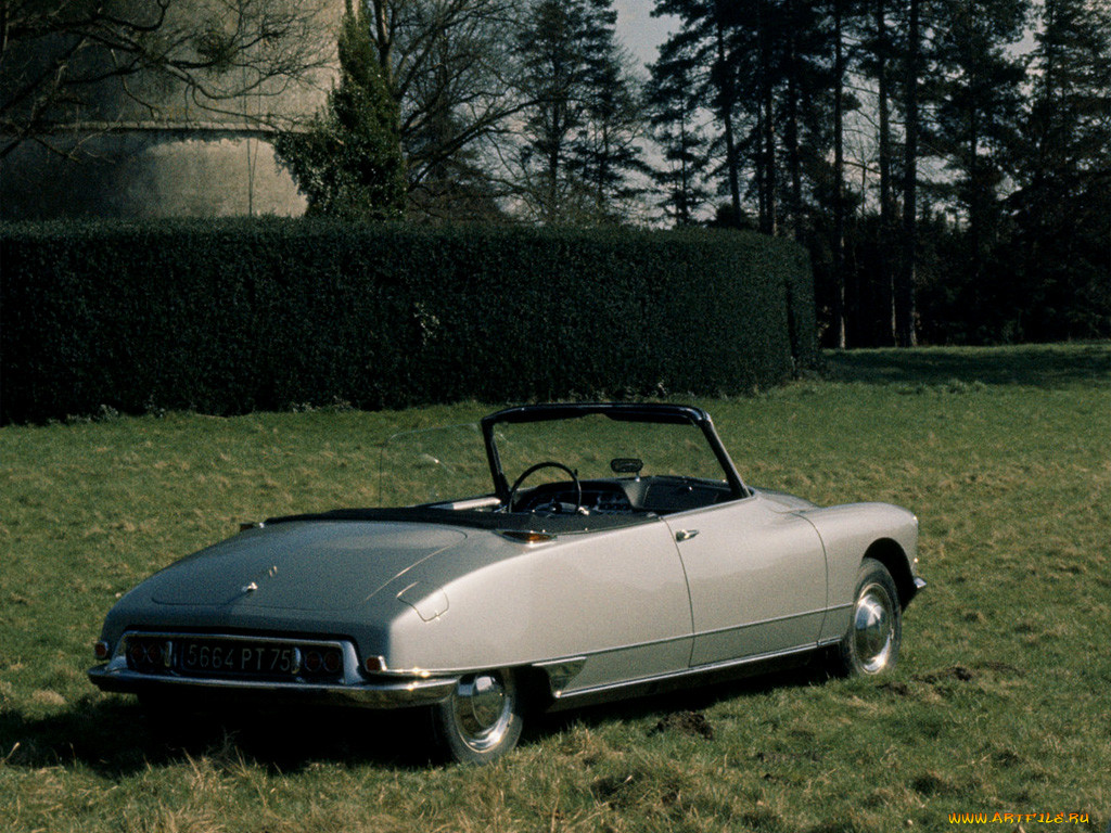 , citroen